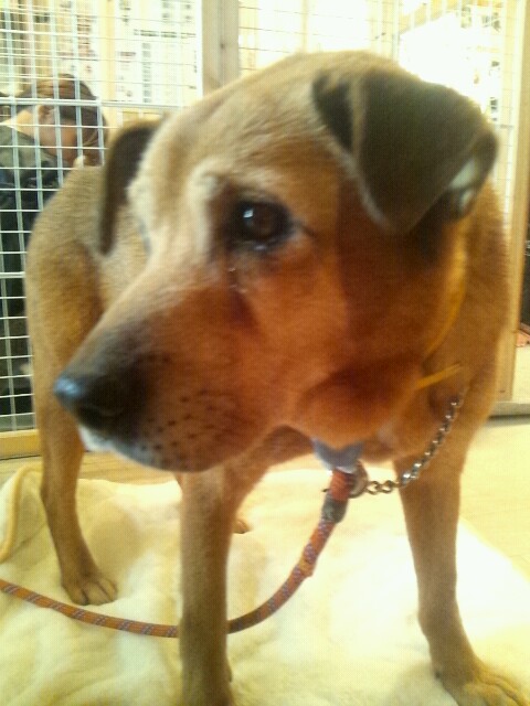 2013_0407_112306_281.jpg