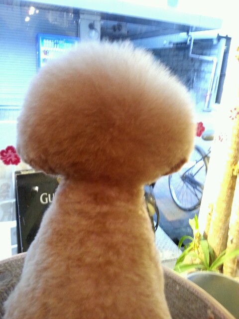 2013_0420_171031_028.jpg