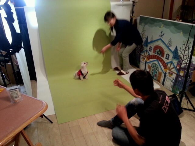 2013_0425_164145_752.jpg