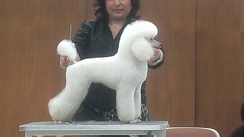 IMAG0103.jpg