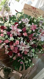 IMAG0645.jpg