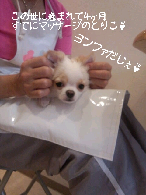 LINEcamera_share_2013-05-16-13-22-54.jpg