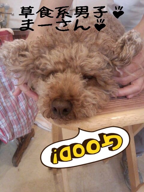 LINEcamera_share_2013-05-16-16-41-51.jpg