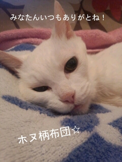 LINEcamera_share_2013-05-24-18-49-03.jpg