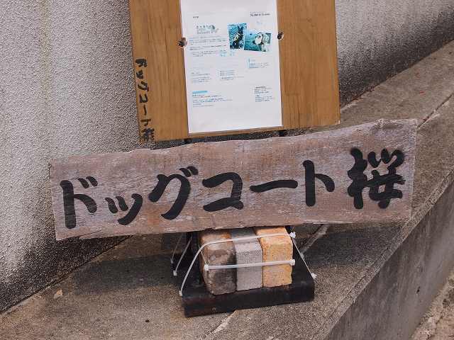 P4112871.jpg