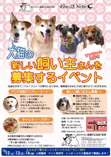 seventh_heaven_20130630.jpg