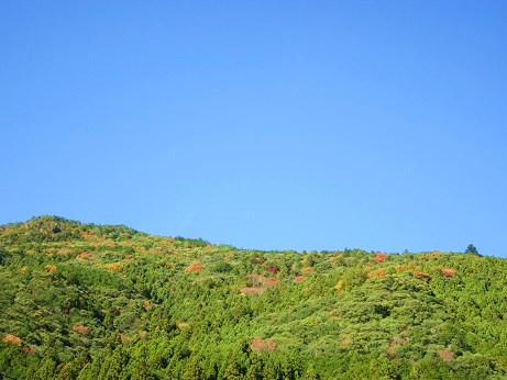 田舎