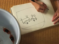 ほうれん草
