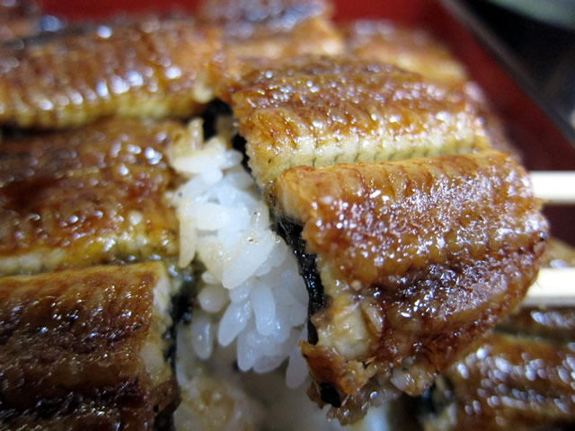 うな重2