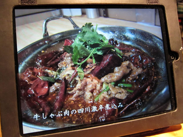 老虎菜iPad2