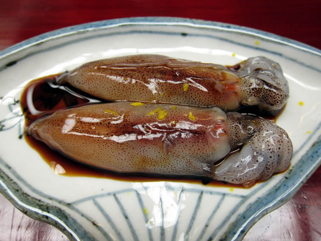 蛍烏賊