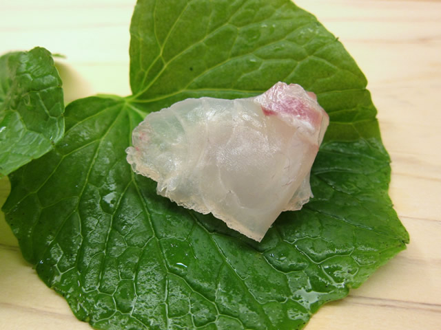 鯛