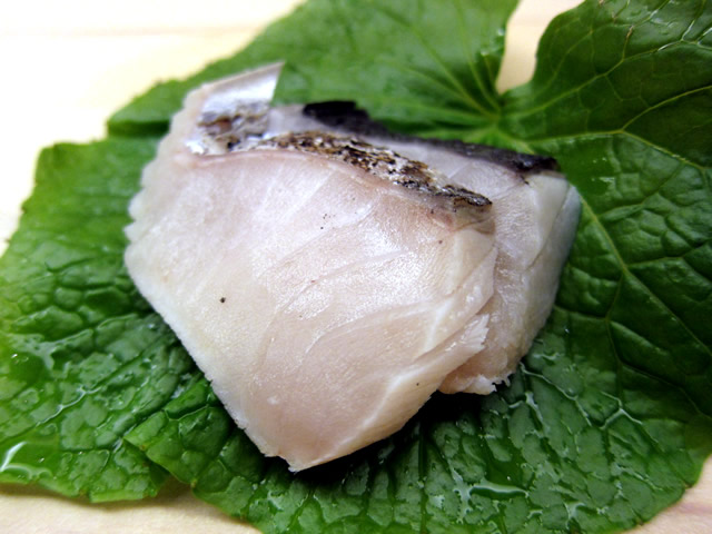鰆