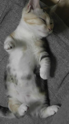 ♪♪ じゃ~ん