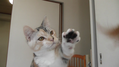 ・・