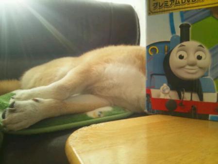 20130206_140453.jpg