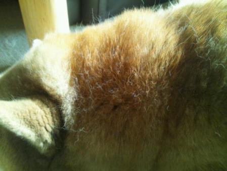 20130314_133806.jpg