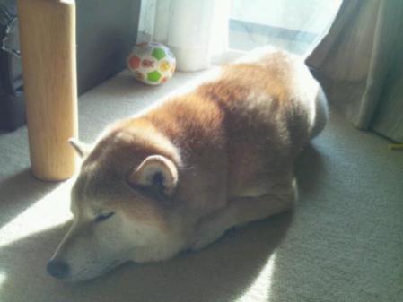 20130314_133958.jpg