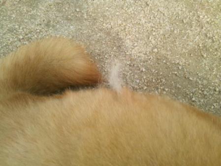 20130319_125505.jpg
