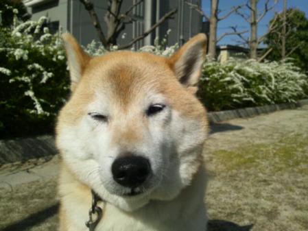 20130319_125542.jpg