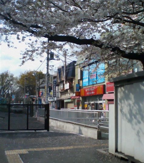 4月14日 2.jpg