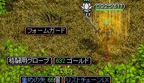 フォムガ4.jpg