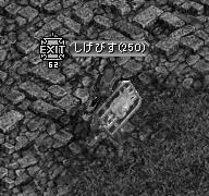 9月8日5.jpg