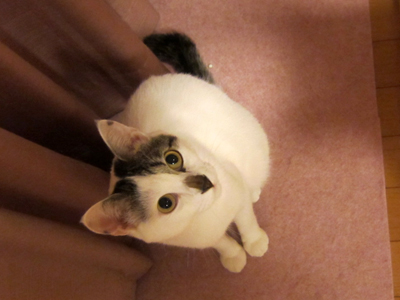 110922_4481.jpg