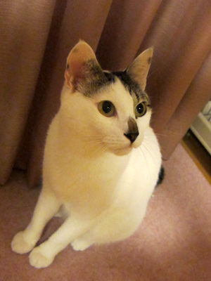 110922_4482.jpg