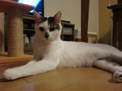 110924_4605.jpg