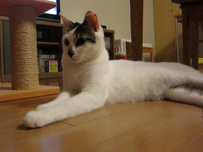 110924_4609.jpg