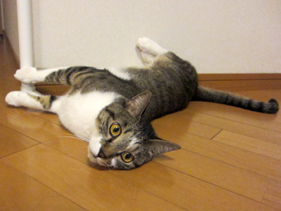 110926_4680.jpg