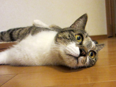 110926_4688.jpg
