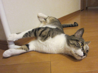 110926_4689.jpg
