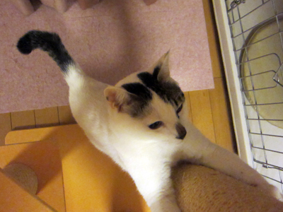 110928_4814.jpg