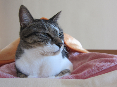 110928_4887.jpg