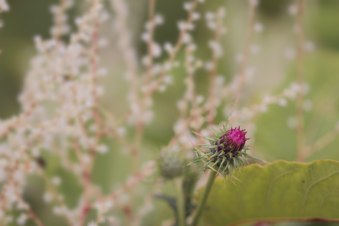 130826_5058.jpg