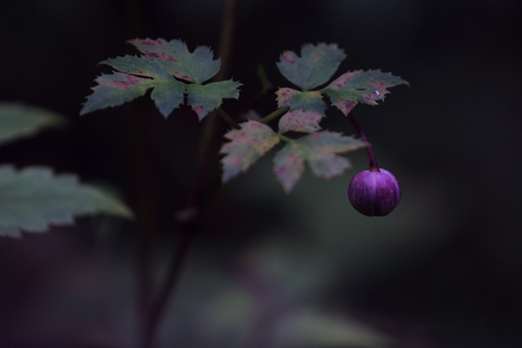 130826_5108.jpg