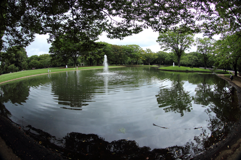 130908_5814.jpg
