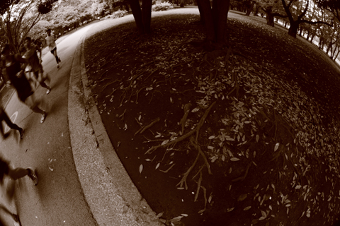 130908_5839.jpg