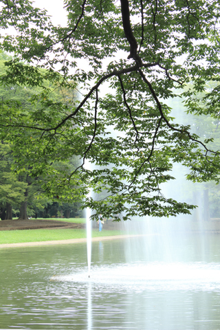 130908_5885.jpg