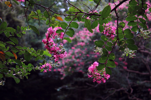 130908_5959.jpg