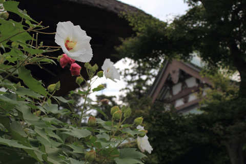 130910_6218.jpg