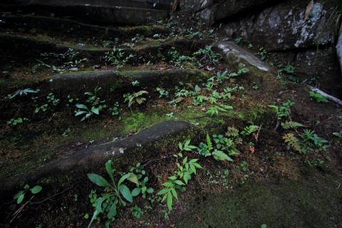 130910_6281.jpg
