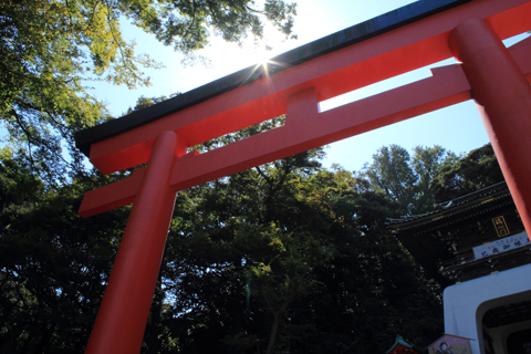 130919_7158.jpg