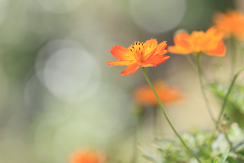 130919_7341.jpg