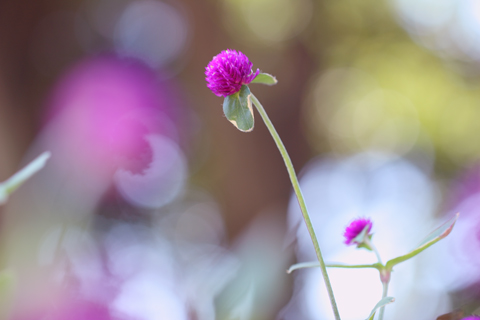 130919_7356.jpg