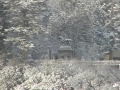 雪化粧した政宗騎馬像