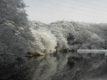 雪化粧した県民の森