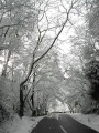 雪の道路